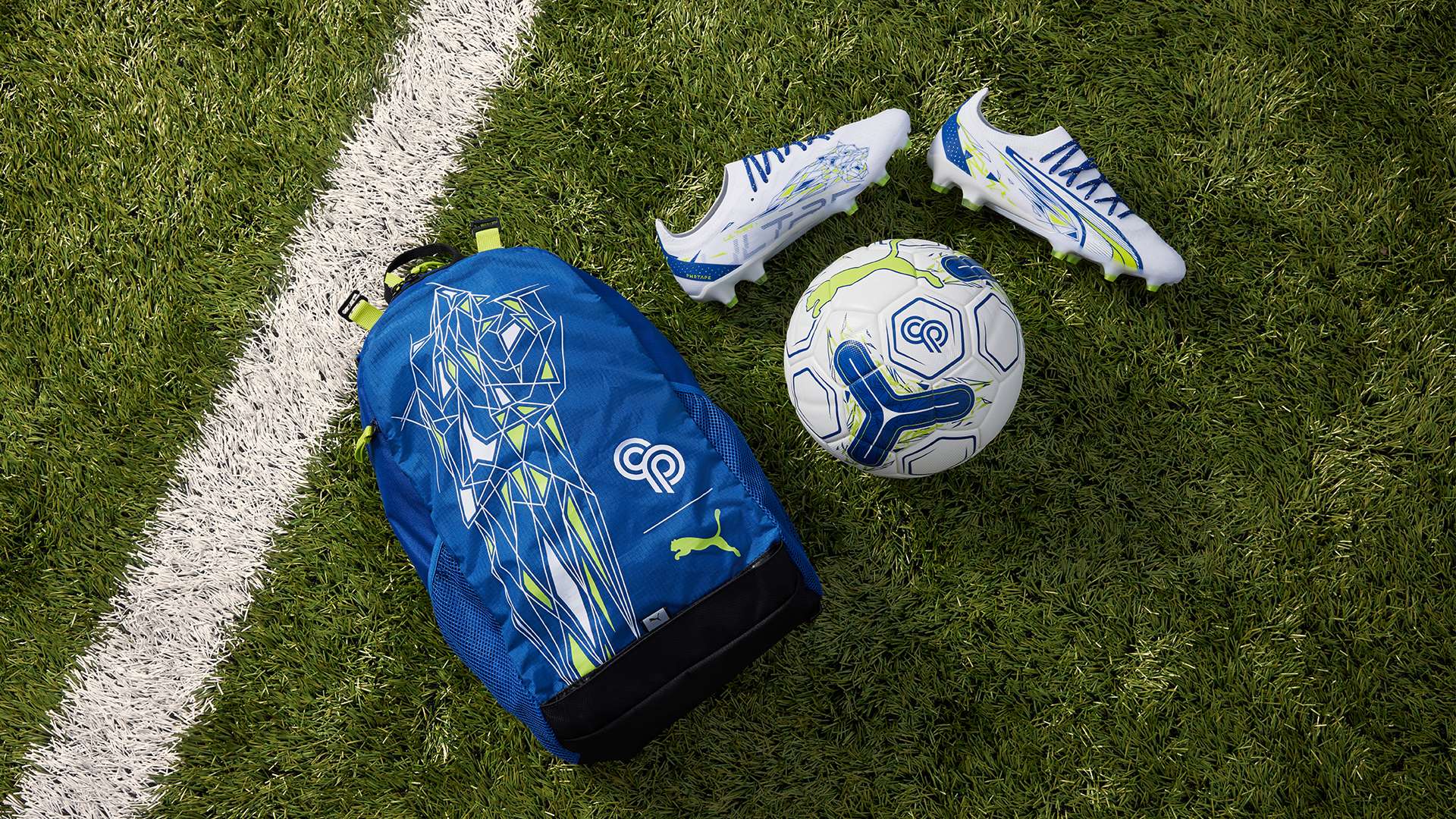 在财政与竞 在财政与竞